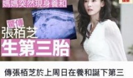 张柏芝娱乐圈八卦最新爆料,揭秘不为人知的幕后故事