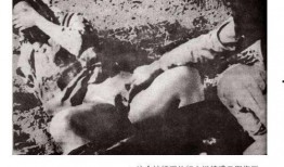 暴行本番在线观看,揭秘在线观看背后的惊悚真相