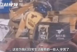 东北小哥爆料青龙视频大全,青龙视频大全背后的精彩故事