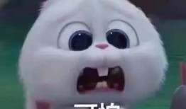 酒吧网红吃瓜事件真相揭秘,揭秘背后真相与真相背后的真相