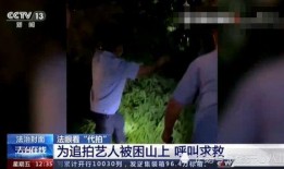 本周明星爆料新闻事件,明星爆料事件盘点