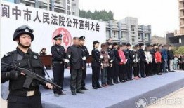 四川讨薪新闻爆料事件,维权之路上的挑战与呼声