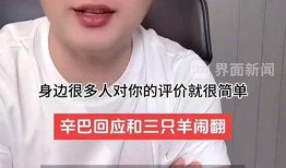 最新辛巴直播爆料新闻