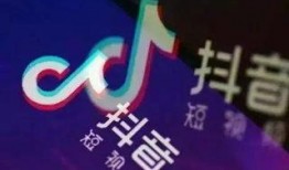 情侣爆料挑战素材视频,甜蜜瞬间VS尴尬瞬间，揭秘恋爱中的那些小秘密