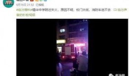 关于爆料照的视频大全下载