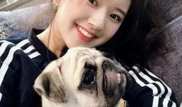 吃瓜娱乐赵小瞒小猫,吃瓜娱乐界的甜蜜萌宠