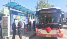 葫芦岛公交车爆料视频,惊现惊人一幕，网友热议不已！