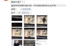 爆料女婿出轨记录视频,女婿出轨视频曝光，家庭伦理危机引发热议