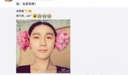 娱乐圈爆料图片大全,明星幕后生活全曝光