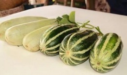 网红吃瓜原创作品,揭秘娱乐圈幕后真相，带你领略娱乐圈风云变幻