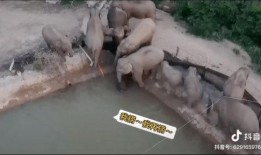 打井抖音爆料视频大全,打井爆料视频大全，带你探秘地下世界