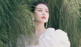 最新大爆料刘诗诗,揭秘明星背后的真实生活