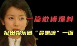 以前的娱乐圈爆料有哪些,揭秘明星背后的故事与真相