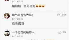 吃瓜娱乐主播梦梦,吃瓜娱乐界的璀璨明星