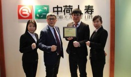 郑州老总最新爆料,揭秘企业内部惊天秘密