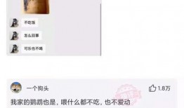 珠海网友林女士爆料新闻,惊曝某事件背后惊人内幕