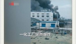 江苏化工厂爆料视频大全,揭秘工业污染背后的真相