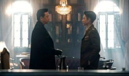 男谍王在线观看,暗战风云，揭秘特工传奇