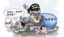 武汉黑中介爆料案件最新,揭露行业潜规则，揭开灰色产业链面纱