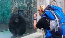 猴哥亲戚爆料视频,揭秘猴哥家族背后的惊人故事