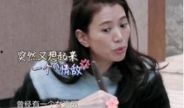 袁咏仪隐私爆料视频播放,揭秘娱乐圈背后的惊人真相