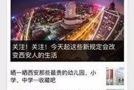北京一线新闻爆料平台,揭秘城市热点事件背后的真相