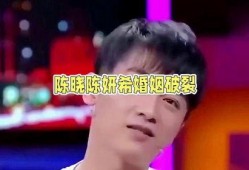八卦吃瓜娱乐圈陈晓,陈晓的娱乐圈风云录