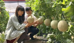 600万网红吃瓜,揭秘娱乐圈最新吃瓜盛宴！