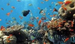 一线吃瓜娱乐圈by海底监,海底监揭秘一线明星幕后故事