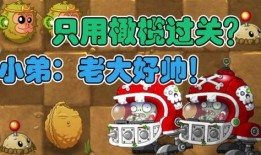 僵尸大嘴爆料视频,惊悚视频背后的惊人真相