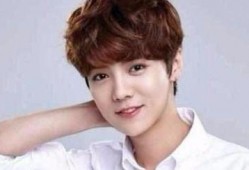 女生爆料鹿晗视频犯法吗