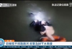 最新偷鱼爆料新闻视频大全,揭秘水下盗猎黑幕