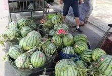 西昌吃瓜事件网红,网红引发的网络狂欢与反思