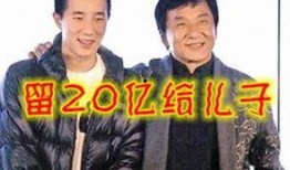 成龙慈善爆料事件视频,真相与争议的交织