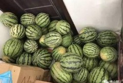 邯郸吃瓜群免费加入,免费加入，畅享欢乐时光