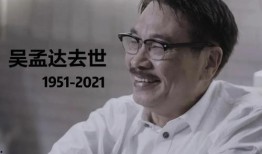 娱乐圈的瓜vs我吃的瓜,娱乐圈大瓜与我日常瓜果分享