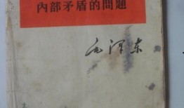 凌海烧烤店爆料视频最新,独家视频揭露惊人内幕！