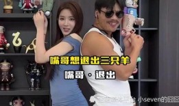 顺德爆料夫妇事件视频播放,视频曝光引发社会热议