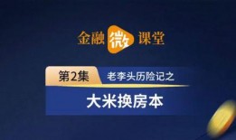 厦门新闻头条官网爆料,重磅爆料揭示最新动态，聚焦城市焦点事件