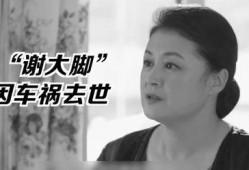 娱乐圈的瓜vs我吃的瓜,娱乐圈大瓜与我日常瓜果分享