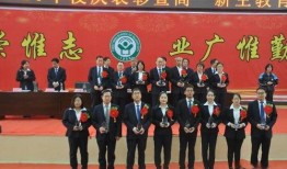 中动玩具最新爆料消息,神秘新品即将亮相，引领玩具市场新潮流